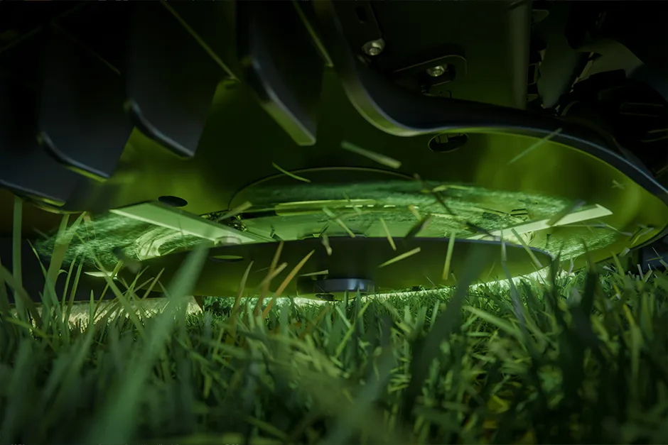 Beschreibung des Bildes