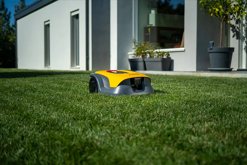 Beschreibung des Bildes