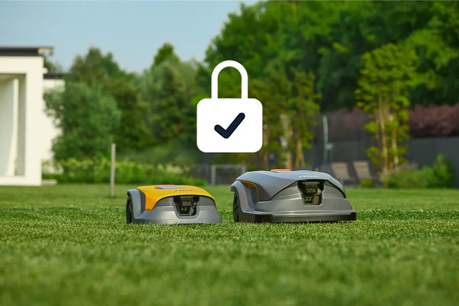 Beschreibung des Bildes